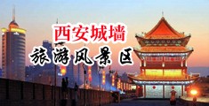 肏骚浪荡妇爽翻了69AV中国陕西-西安城墙旅游风景区