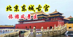 男人j鸡插女人逼逼真人视频中国北京-东城古宫旅游风景区
